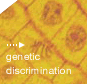 Genetic Discrimination