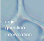 Germline Intervention