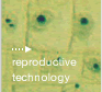 Reproductive Technology